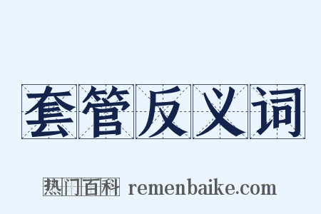 套管反义词是什么意思的图片